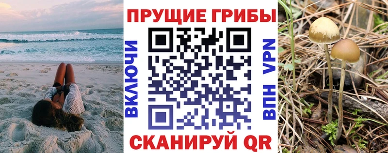 Галлюциногенные грибы ЛСД  Владикавказ 