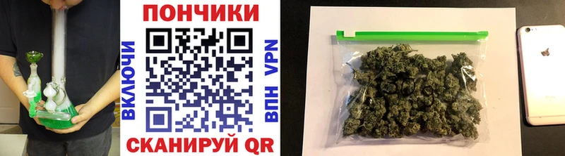 Конопля семена  гидра как зайти  Владикавказ 